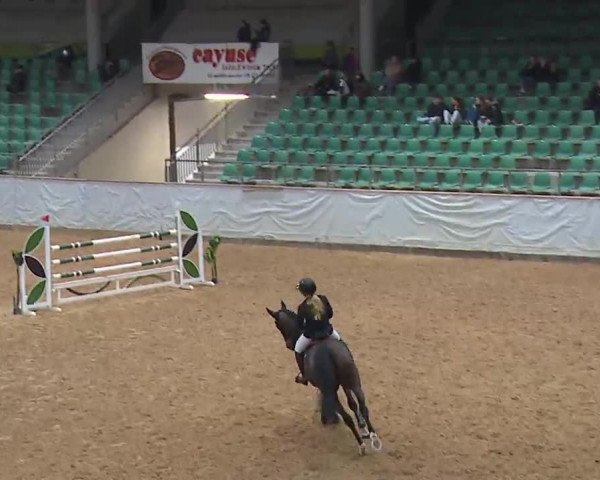 Reitturnier Kreuth 2023