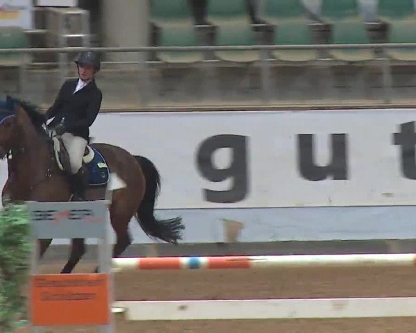Reitturnier Kreuth 2023