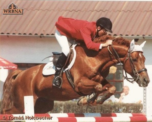 stallion Veneur du Luc (Selle Français, 1987, from Double Espoir)