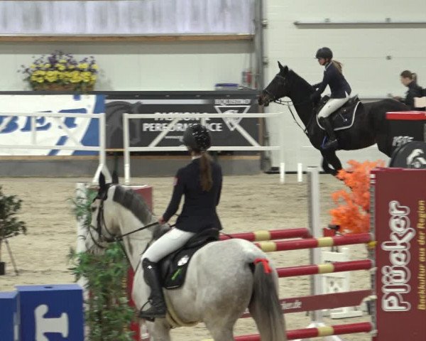 Reitturnier Borken 2023