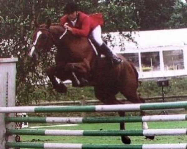 stallion Cabri du Val (Selle Français, 1990, from Double Espoir)