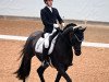 dressage horse Finesty (German Sport Horse, 2016, from Finest)