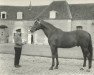 stallion Mario (FR) (French Trotter, 1956, from Carioca II (FR))