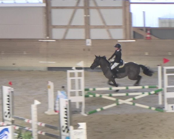 Reitturnier Schaffhausen 2023