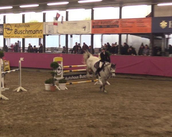 Reitturnier Vlotho-Exter 2023