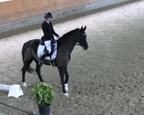 Reitturnier Ratingen 2023