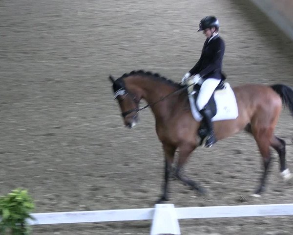 Reitturnier Ratingen 2023