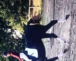 dressage horse Dark Diamond (Hanoverian, 2017)