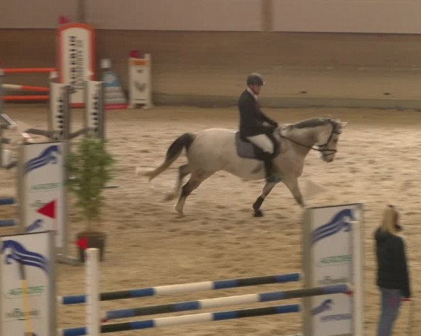 Reitturnier Schaffhausen 2023