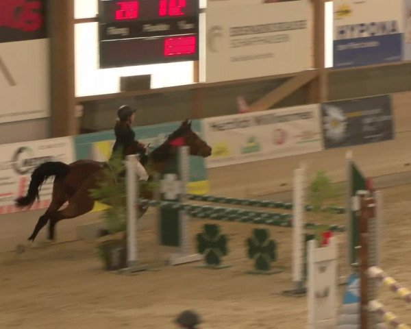 Reitturnier Schaffhausen 2023