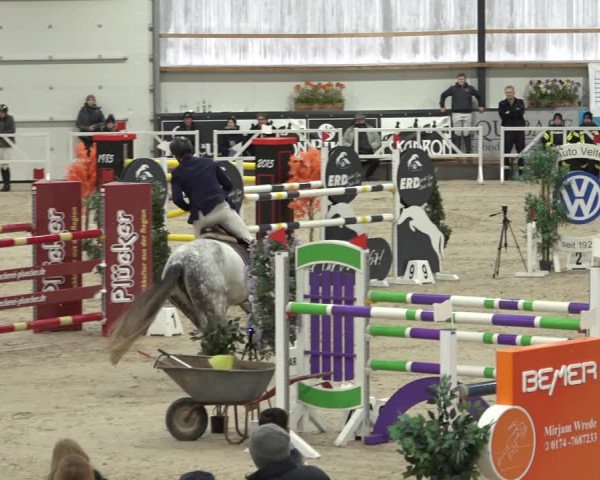 Reitturnier Borken 2023