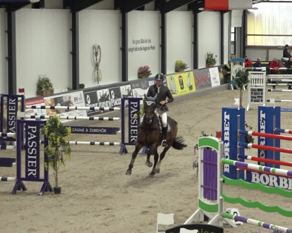 Reitturnier Borken 2023