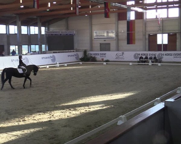Reitturnier Prussendorf 2021