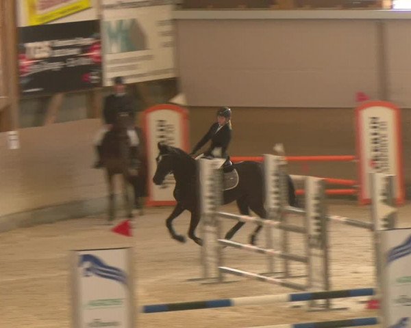 Reitturnier Schaffhausen 2023