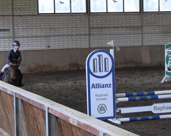 Reitturnier Hildesheim-Marienburg 2023