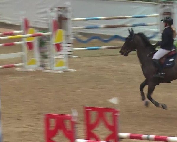 Reitturnier Kreuth 2023