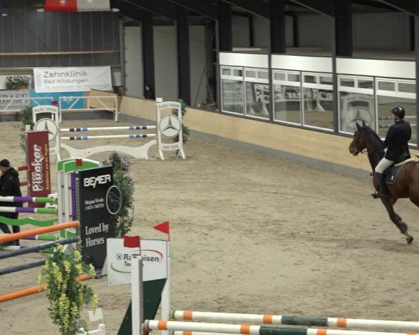 Reitturnier Borken 2023