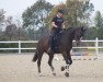 dressage horse Luisao 3 (Holsteiner, 2013, from Larimar)