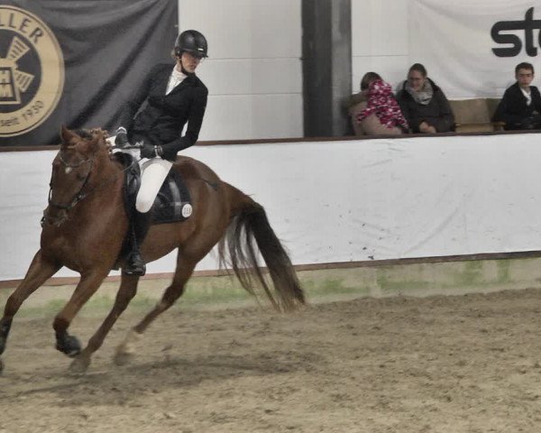 Reitturnier Karlsfeld/Obb. 2021