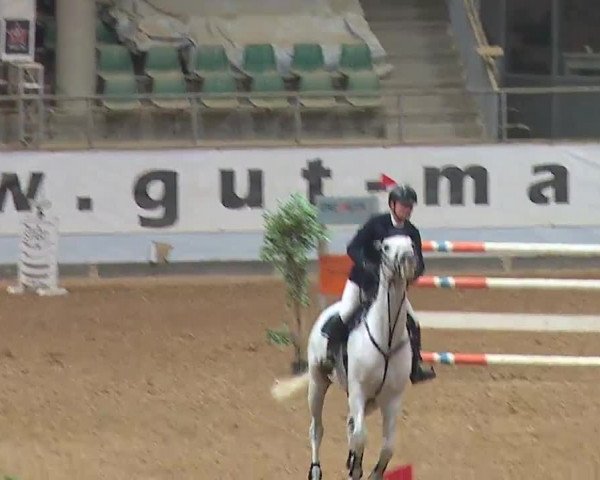 Reitturnier Kreuth 2023