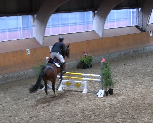 Reitturnier Ratingen 2023
