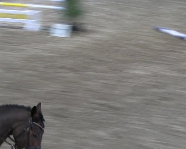 Reitturnier Ratingen 2023