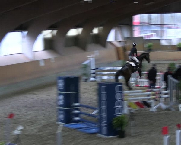 Reitturnier Ratingen 2023