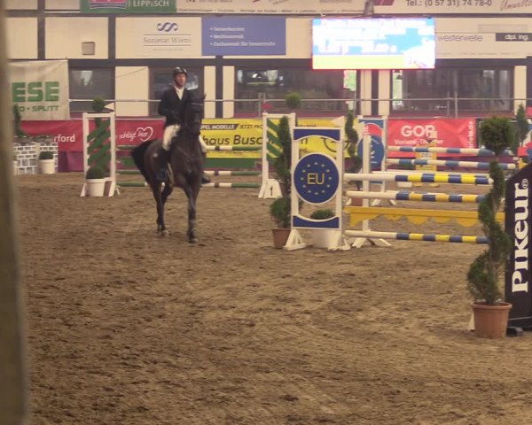 Reitturnier Vlotho-Exter 2023
