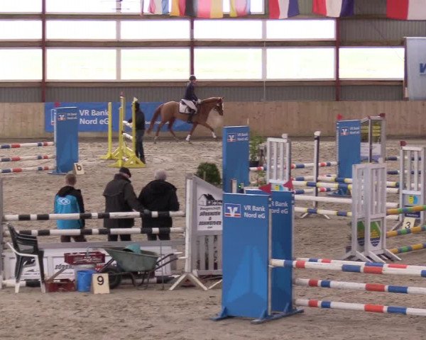 Reitturnier Süderlügum 2023