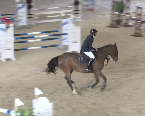 Reitturnier Schaffhausen 2023