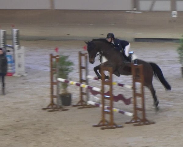 Reitturnier Schaffhausen 2023