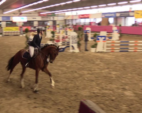 Reitturnier Vlotho-Exter 2023