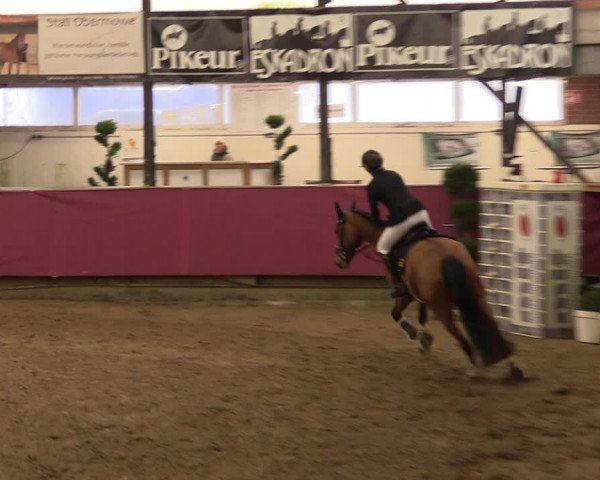 Reitturnier Vlotho-Exter 2023
