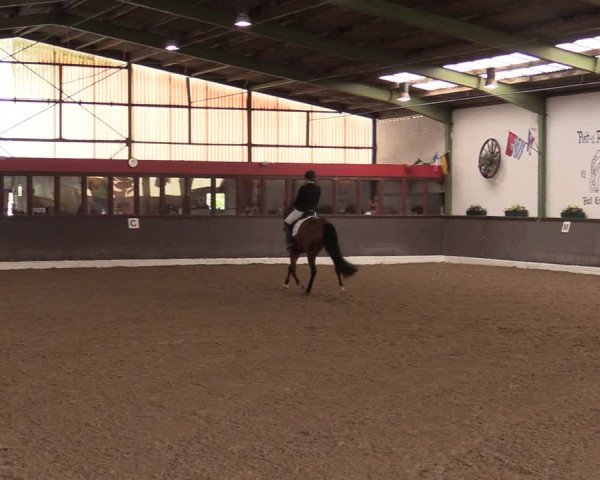 Reitturnier Bad Essen 2021
