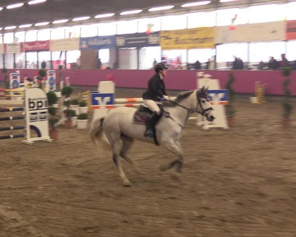 Reitturnier Vlotho-Exter 2023