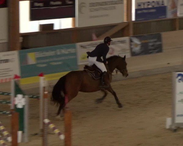 Reitturnier Schaffhausen 2023