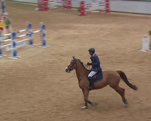 Reitturnier Kreuth 2023