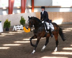 stallion Chagallo's Charming Boy (Holsteiner, 1999, from Chagallo)