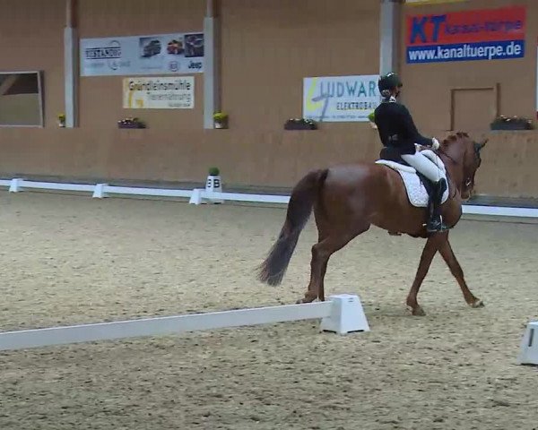 Reitturnier Grafenrheinfeld/Ufr. 2021
