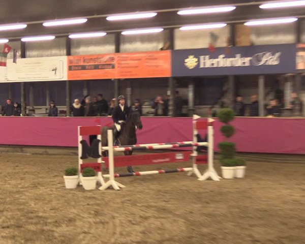 Reitturnier Vlotho-Exter 2023