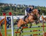 broodmare Carlton's Diamond (KWPN (Royal Dutch Sporthorse), 2012, from Carlton Hill VDL 1248)