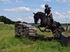 dressage horse Lucky Boy 229 (Hessian Warmblood, 2006, from Kingsley Lucky Dance)