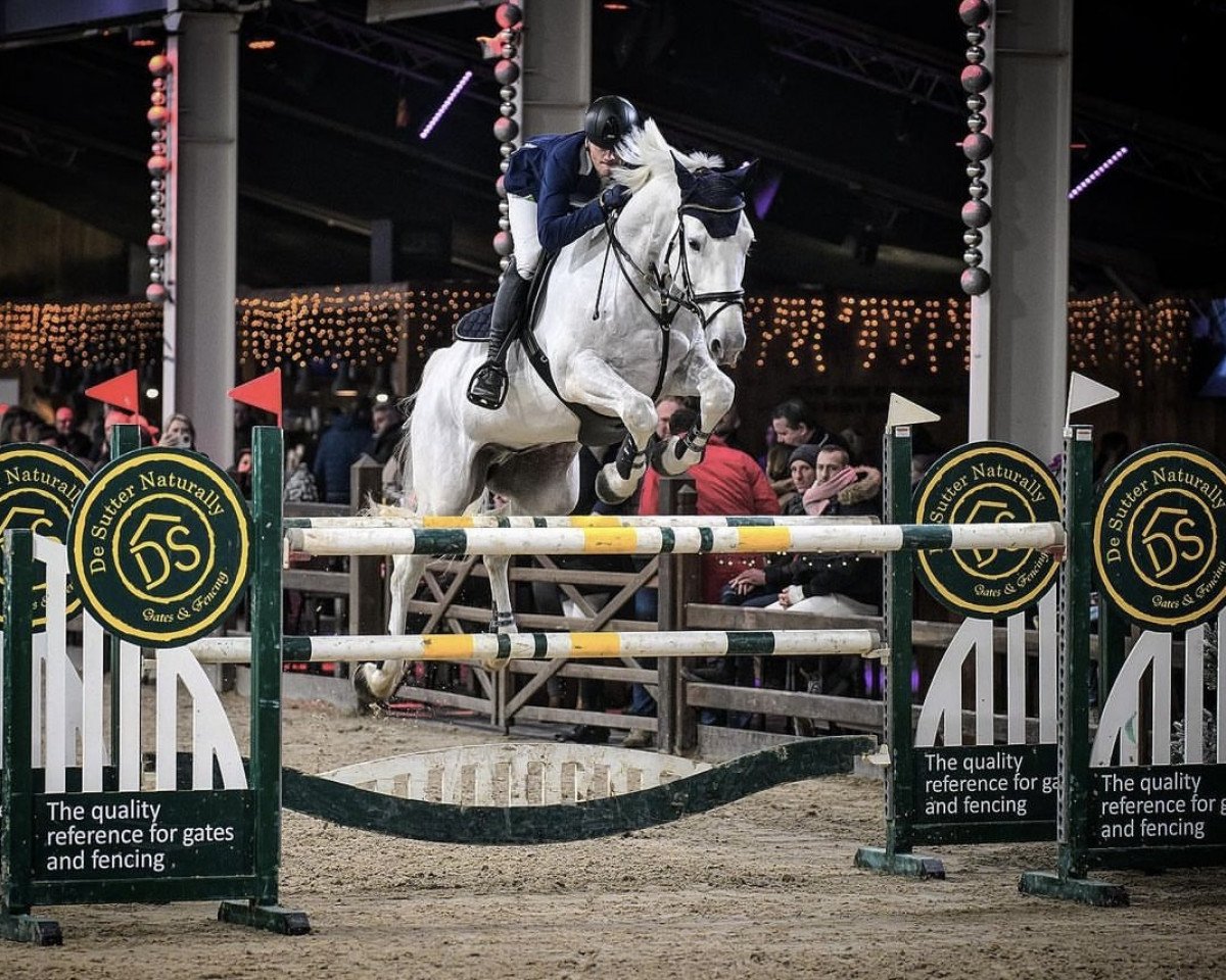jumper Fifty Cambell S (KWPN (Royal Dutch Sporthorse), 2010, from Campbell VDL)