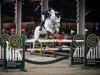 jumper Fifty Cambell S (KWPN (Royal Dutch Sporthorse), 2010, from Campbell VDL)