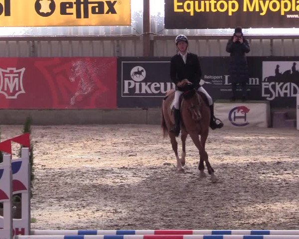 10. Nordic Jumping event Negernbötel 2023