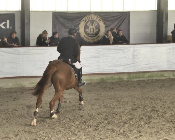 Reitturnier Karlsfeld/Obb. 2021