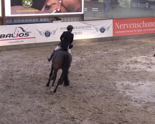 10. Nordic Jumping event Negernbötel 2023