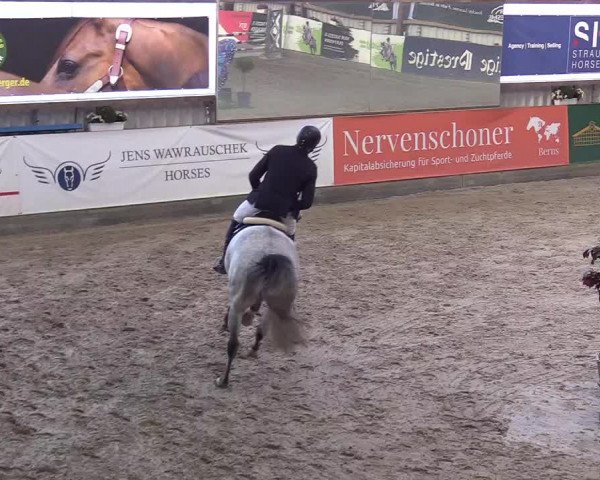 10. Nordic Jumping event Negernbötel 2023