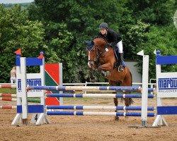 jumper Serano SG (Hessian Warmblood, 2002, from Silvano)