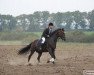 stallion Herkules (Great Poland (wielkopolska), 1998, from Kwiryn)